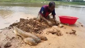 Рыбалка "Африка".