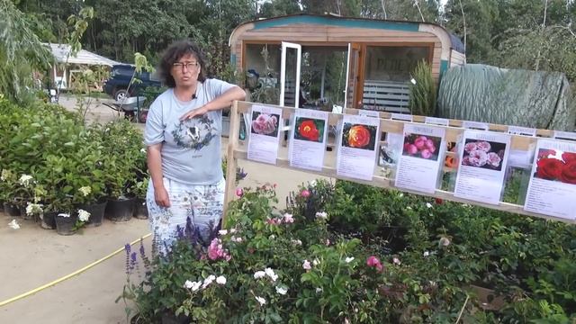 Садовый Центр 