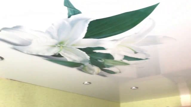 Фотопечать лилии на натяжном потолке смотреть онлайн