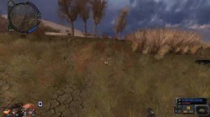 S T A L K E R Артефакт Каменный цветок #4