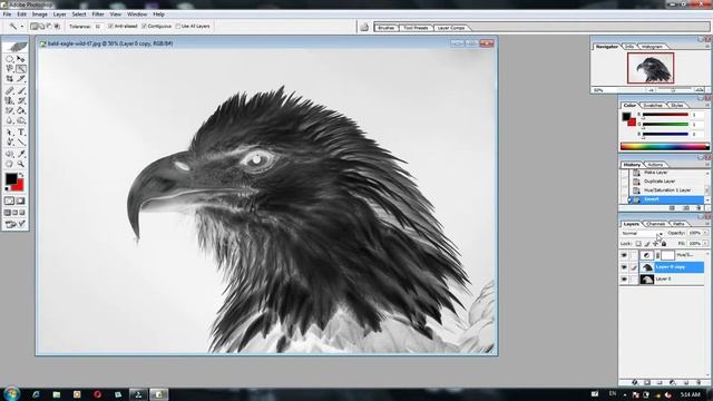 How To Convert a Photo to  Perfect Pencil Sketch  Photoshop 8 0
