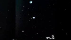 Сила птаха Нина Матвиенко