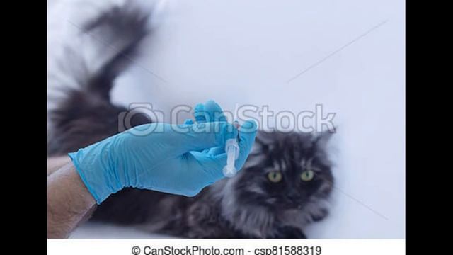 Итоги Ноября - Лучшие продажи на фотостоках смотреть онлайн