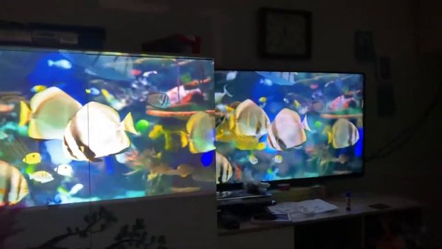 Проектор xgimi z6 в сравнении с телевизором LG смотреть онлайн