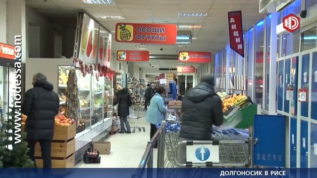 ДОЛГОНОСИК В РИСЕ смотреть онлайн