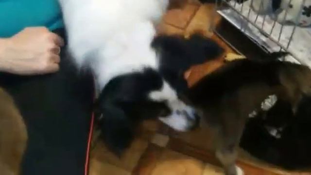 Снежинки растут смотреть онлайн