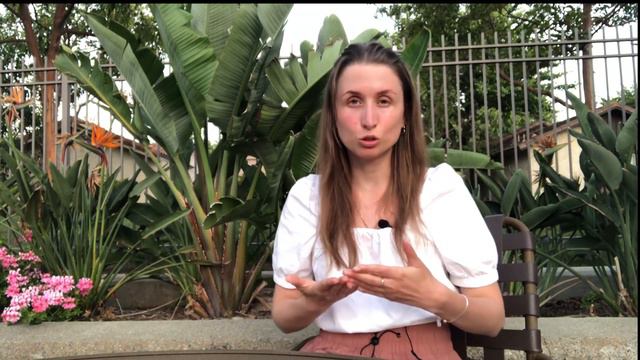 Первая неделя в США. Отличия от Украины, Литвы, Норвегии. смотреть онлайн