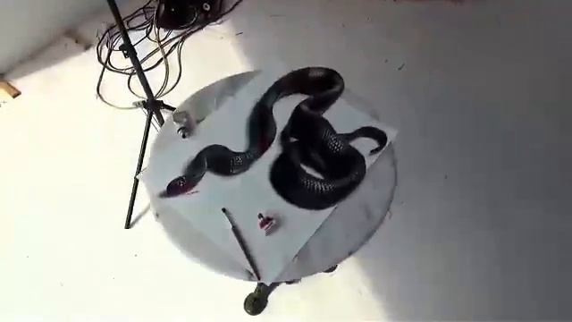 Просто нереальные 3d рисунки смотреть онлайн