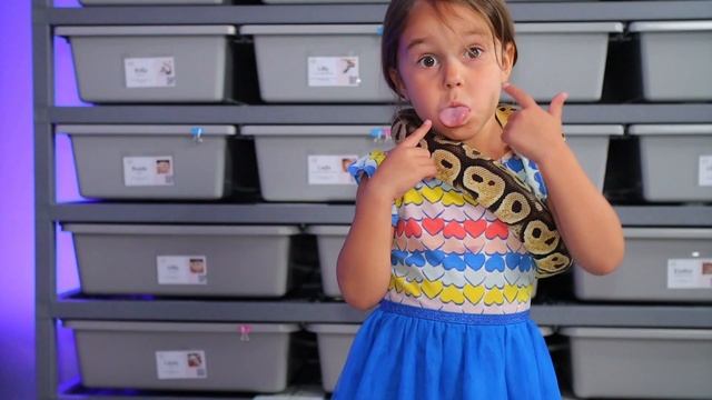 Our Family Top 5 Reasons To Own A Ball Python смотреть онлайн
