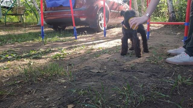 ДАЧА//ТРЕНИРОВКА смотреть онлайн