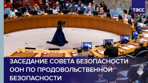Заседание Совета Безопасности ООН по продовольственной безопасности