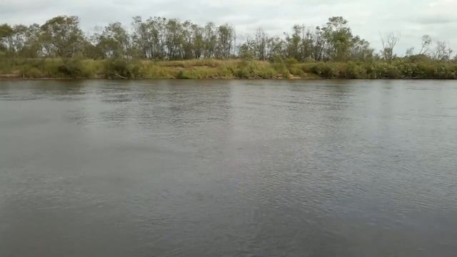 Рыбалка на реке Сож смотреть онлайн