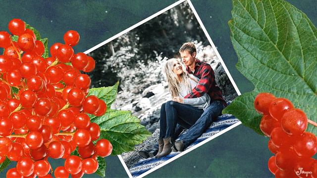 Калина (При долине куст калины) Лидия Роткевич смотреть онлайн