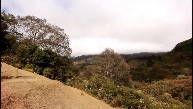 Costa Rica Mountain Home For Sale in Jardin de Dota Only US$175K смотреть онлайн
