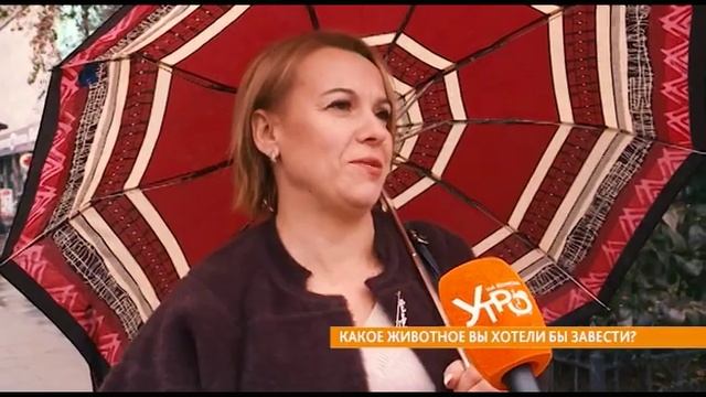 Опрос: какое животное вы хотели бы завести? смотреть онлайн