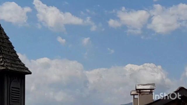 Хочу утку с капустой и холодец с петуха смотреть онлайн