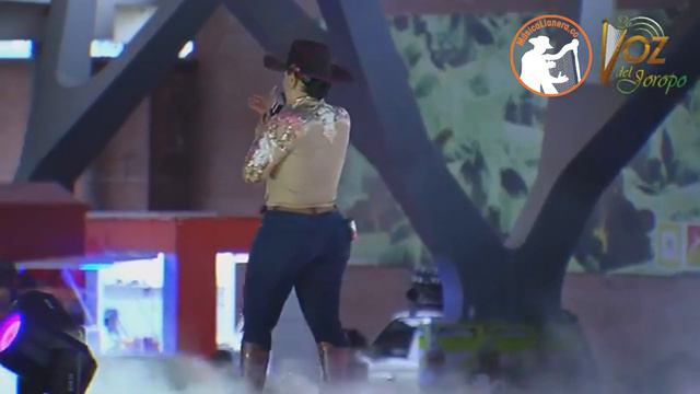 🌸 Flores para ti - Milena Benites en concierto🤠 смотреть онлайн