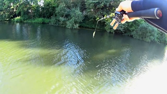 Обзор спиннинг Shimano Scorpion XT 1652-r2. Твичевый лакшери! смотреть онлайн