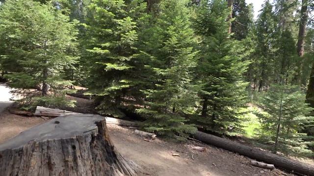 Trip to Devil's Asshole aka Bakersfield and Sequoia National Forest смотреть онлайн