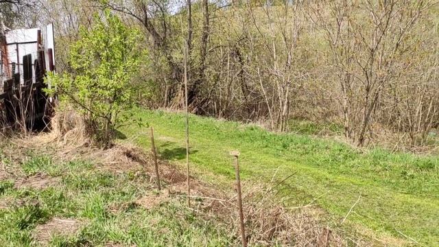 Сделал забор из того, что было. Результат сразу.