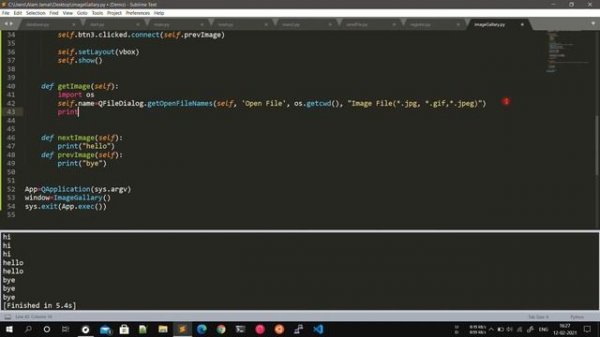 Python Pyqt5 Project | Image Gallery | Mini Project [Hindi]