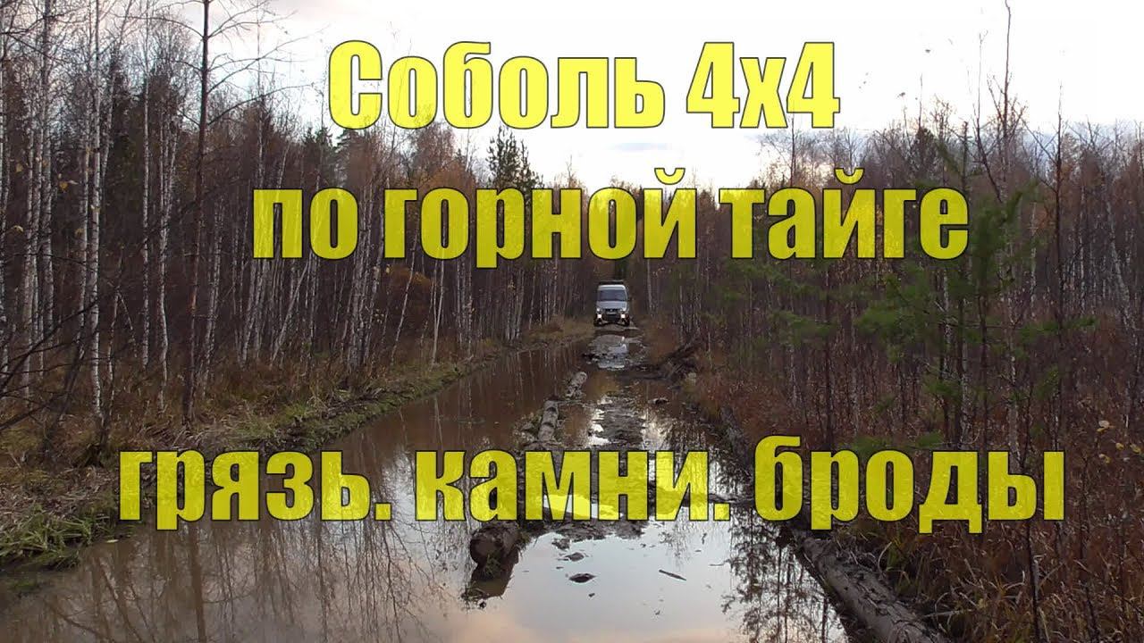 На Соболе 4х4 по горной тайге. Грязь, камни, броды смотреть онлайн
