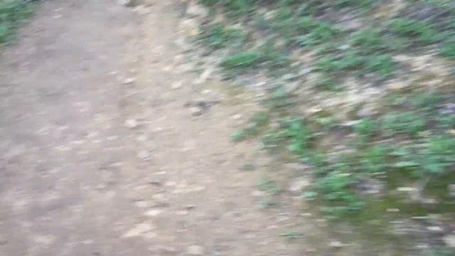 Coldwater Canyon Park/РОЗОВАЯ ШУБА смотреть онлайн