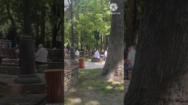 КАК В КИЕВЕ 16 ИЮНЯ 2023. БОТАНИЧЕСКИЙ САД. ПАРК ШЕВЧЕНКО. #shorts. смотреть онлайн