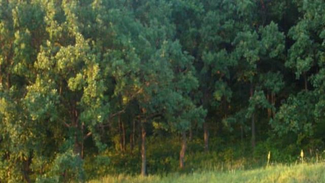 Село Старошешминск география.avi смотреть онлайн
