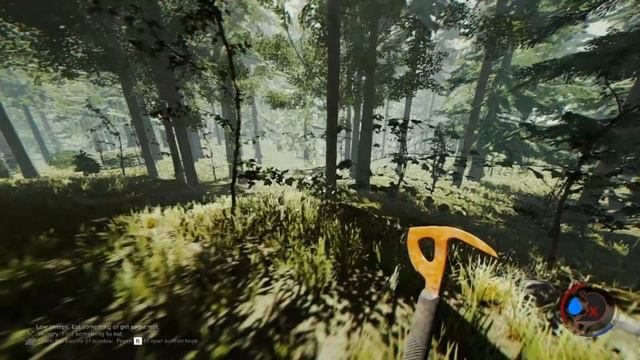 The Forest Nvidia GeForce GT 640