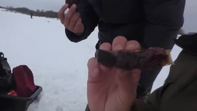 РЫБАЛКА! ШАШЛЫК! БОРЬБА! Поход на природу! смотреть онлайн