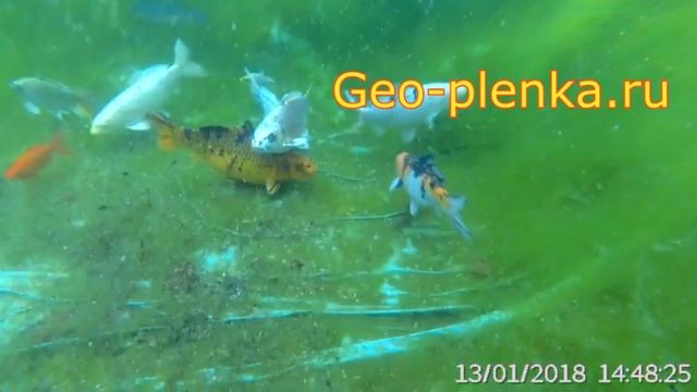 Пленка Винилит подводная съемка