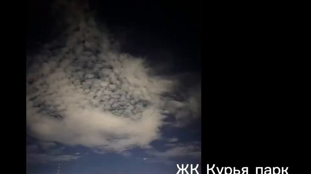 ЖК Курья Парк. Виды из окон 14 этажа / Самая необычная новостройка Перми. рядом грин парк урбан пар смотреть онлайн