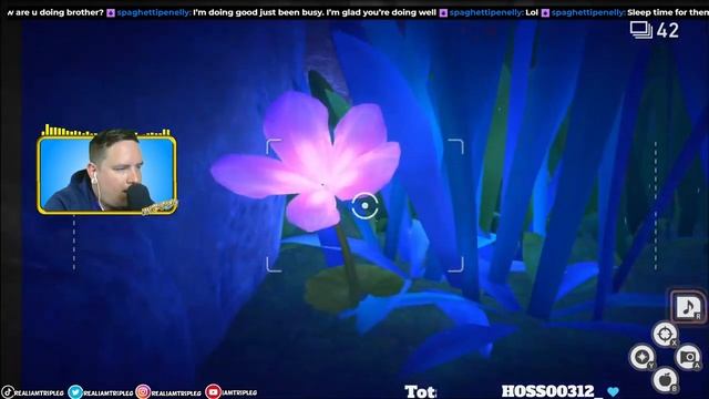 New Pokemon Snappining смотреть онлайн