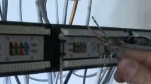 Расшивка кабелей на патч панели