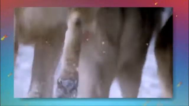 “Ребятам о зверятах” Познавательный цикл лекций - домашние животные - волки смотреть онлайн