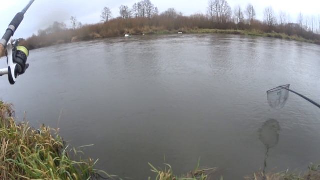 Осенняя рыбалка фидером на реке Неман. Зимний фидер на реке.Ловля язя и леща на фидер поздней осень смотреть онлайн
