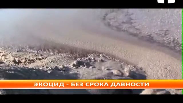 Разработчики поправок в Конституцию предлагают отменить сроки давности за экоцид смотреть онлайн