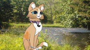 Реакция на Честер КВ|| @Cat_Berry775 || #активвернись #врек #лайк #подпишись #кв #котывоители