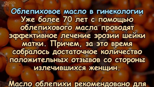 Это масло ОМОЛАЖИВАЕТ, лечит ЖЕНСКИЕ БОЛЕЗНИ! смотреть онлайн