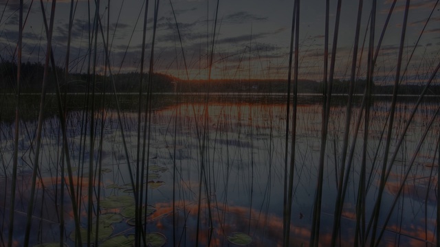 Божья коровка - Неизвестный солдат смотреть онлайн