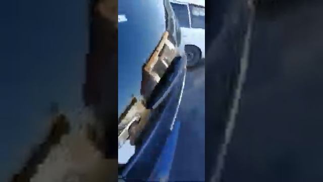 Флекс и ВАЛЕВО DL Audio Phoenix 15 в Toyota WISH смотреть онлайн