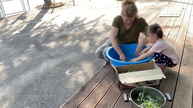 Южная Корея ?9-11 мая/А у нас во дворе/Подкормка для огурцов и растюшек от подписчицы/Дело сделано смотреть онлайн