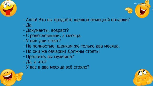 Анекдот про щенков немецкой овчарки смотреть онлайн
