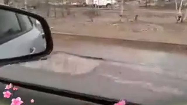 Дорога Сургута ул Профсоюзов смотреть онлайн