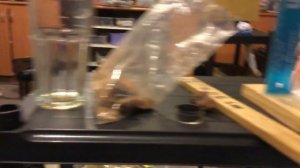 The standard Minelab GPX 5000 test