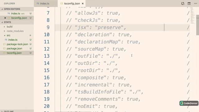33. Project Setup in Typescript | Typescript #typescript #javascript #learning смотреть онлайн