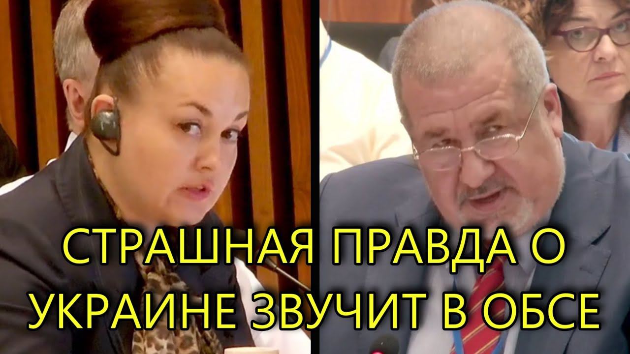 ПЕРЕПАЛКА УКРАИНЫ И РОССИИ В ПА ОБСЕ смотреть онлайн