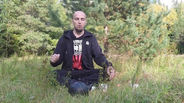 Основы чайного цигун смотреть онлайн