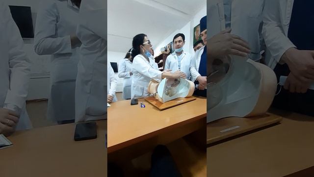 Определить позицию плода 2 часть. Хомила холатини аниклаш 2. Determine the position of the fetus. смотреть онлайн